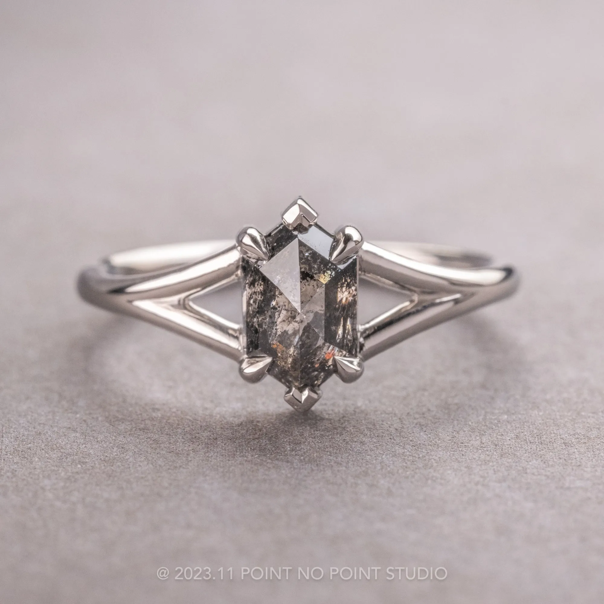 1.42 Carat Black Speckled Hexagon Diamond Engagement Ring, Charlize Setting, 14k White Gold