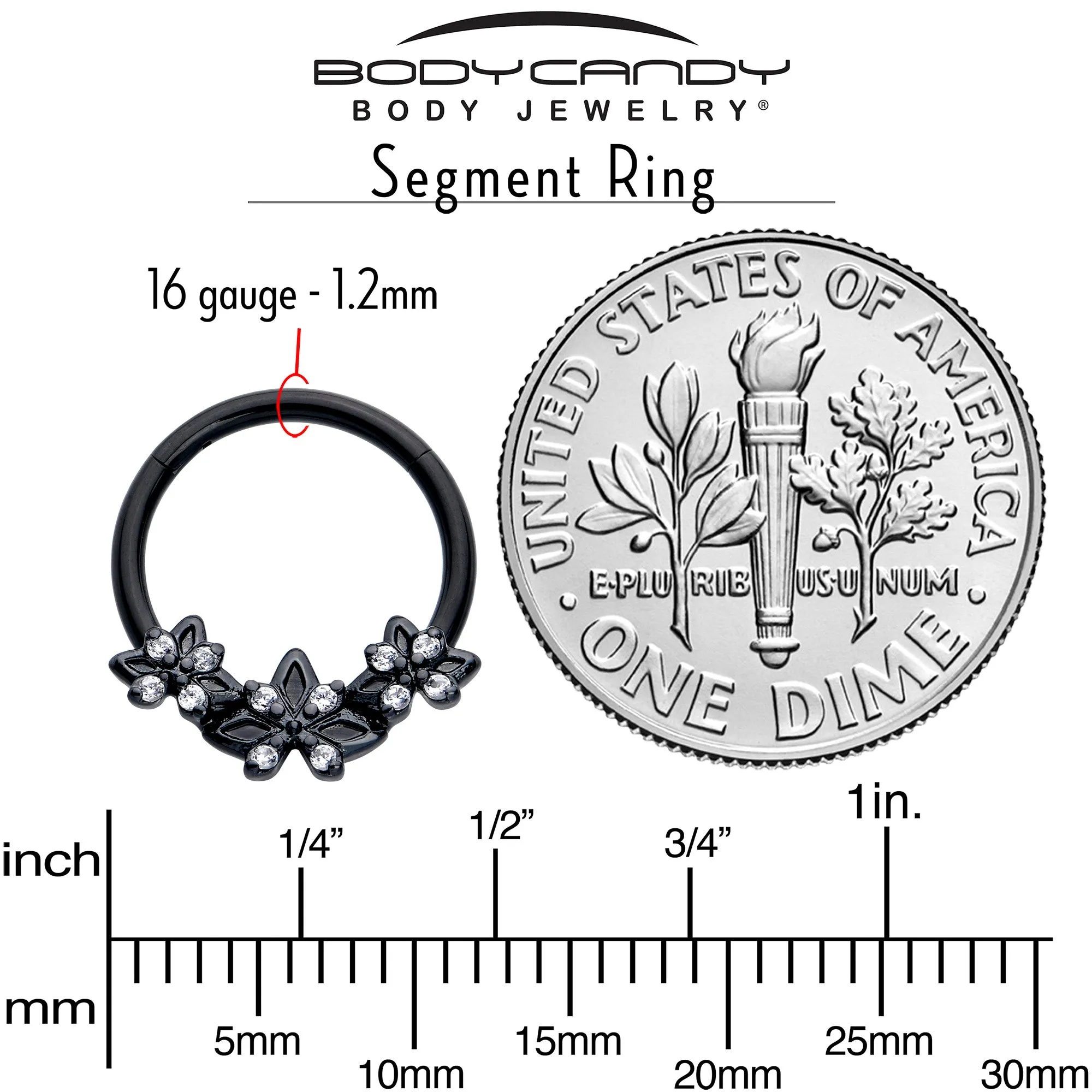 16 Gauge 3/8 Clear CZ Gem Black Gothic Star Trio Hinged Segment Ring