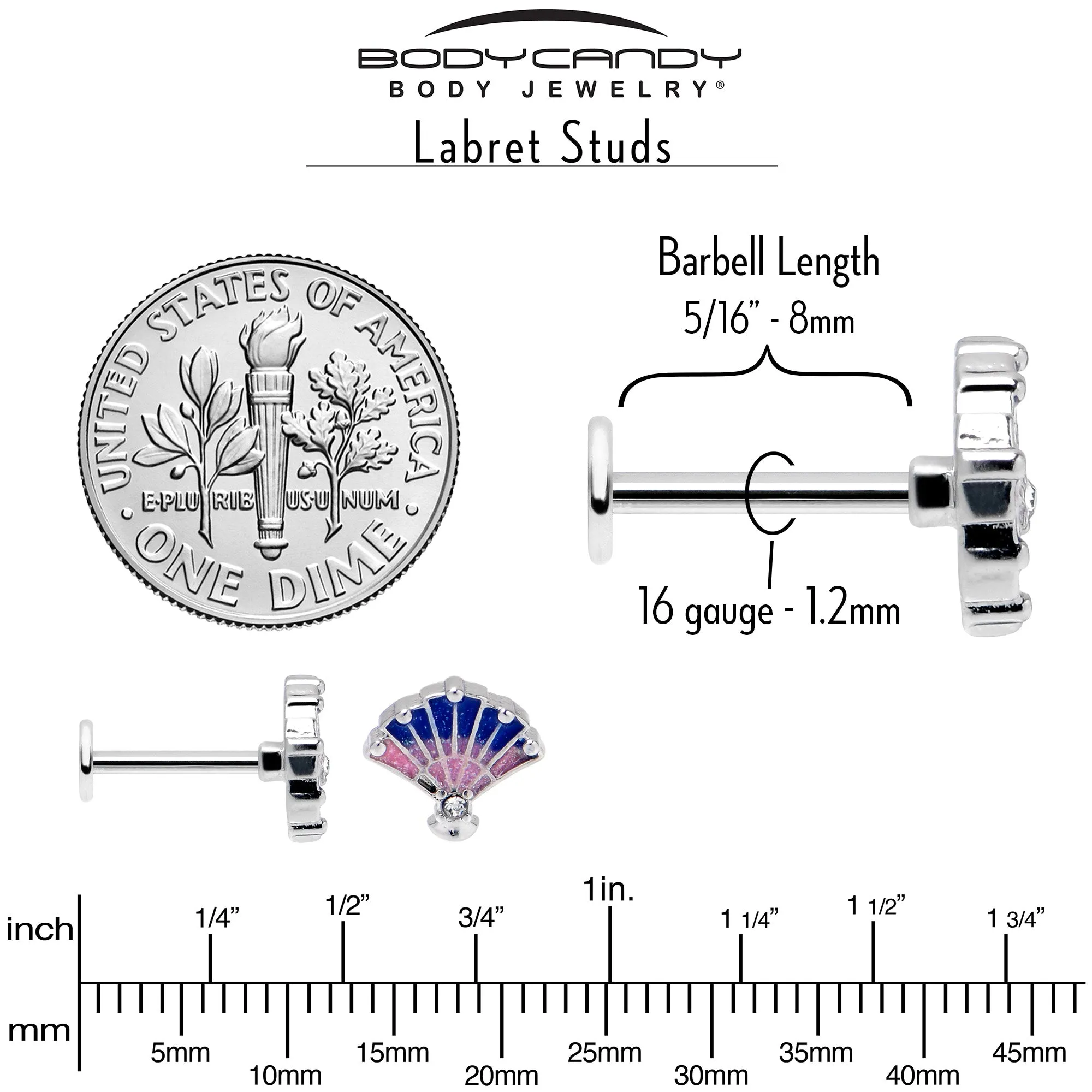 16 Gauge 5/16 Clear CZ Gem Mesmerizing Ocean Sea Shell Magic Labret Tragus