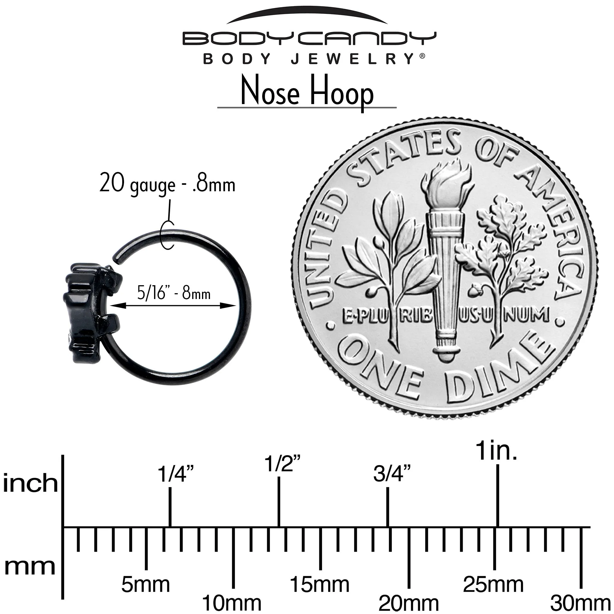20 Gauge 5/16 Clear CZ Gem Black Serenity Ocean Magic Shell Nose Hoop