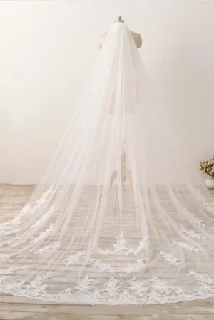 3M Long Embroidered Lace Cathedral Veil for Wedding APWV0002