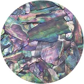 Ageha Shell Collection BZ & NZ Series