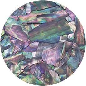 Ageha Shell Collection BZ & NZ Series
