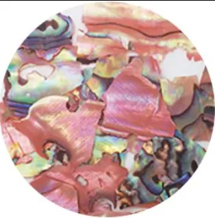 Ageha Shell Collection BZ & NZ Series