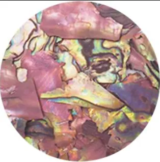 Ageha Shell Collection BZ & NZ Series