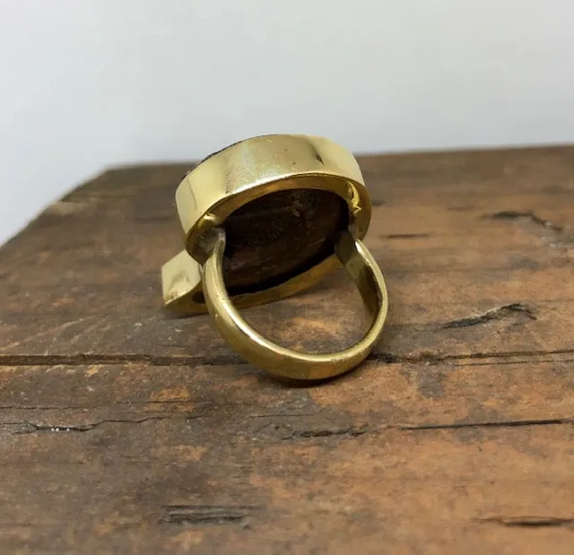 Ammonite Ring