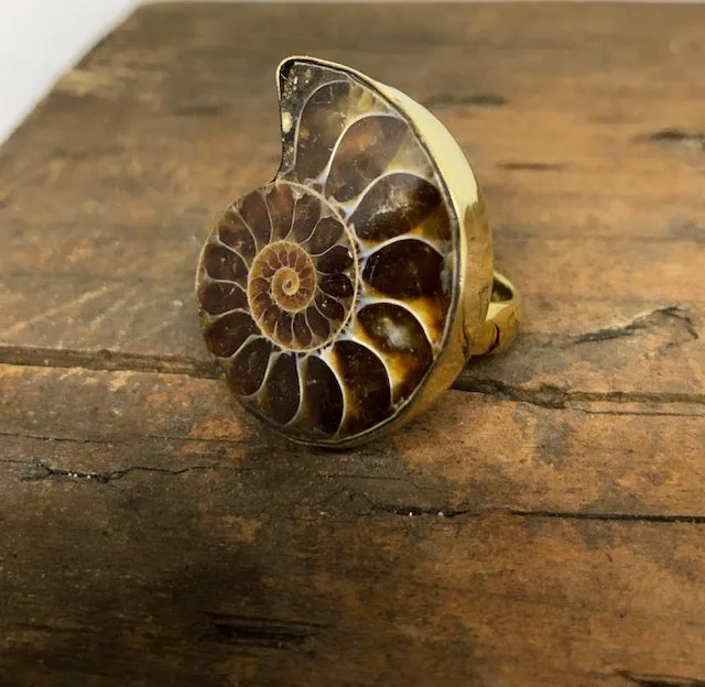 Ammonite Ring