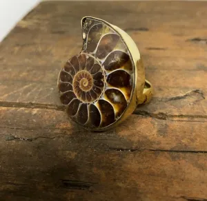 Ammonite Ring