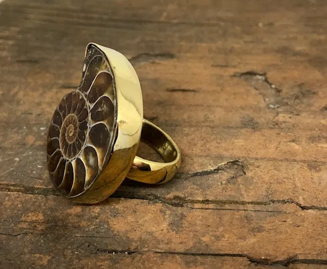 Ammonite Ring