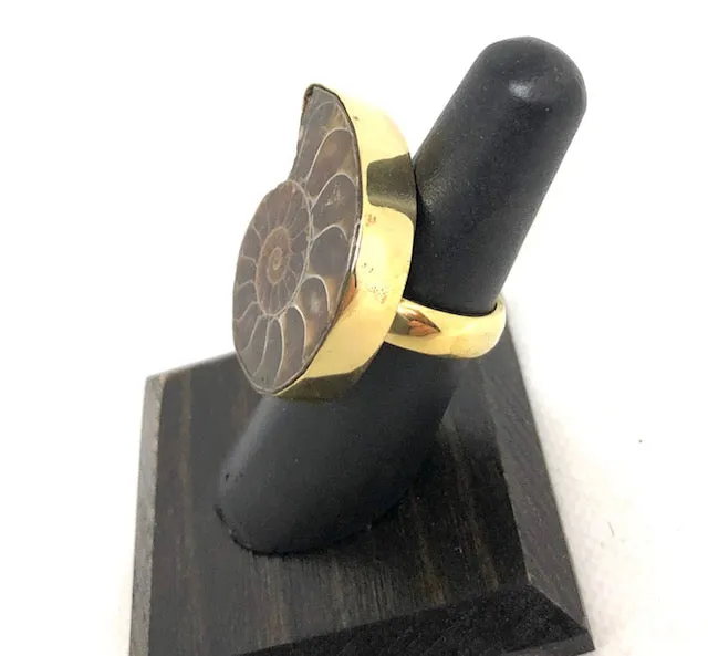 Ammonite Ring