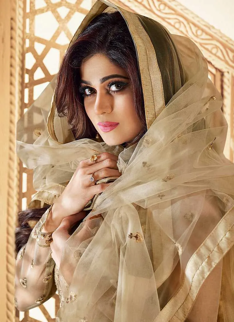 Beige Heavy Embroidered Gown Style Anarkali