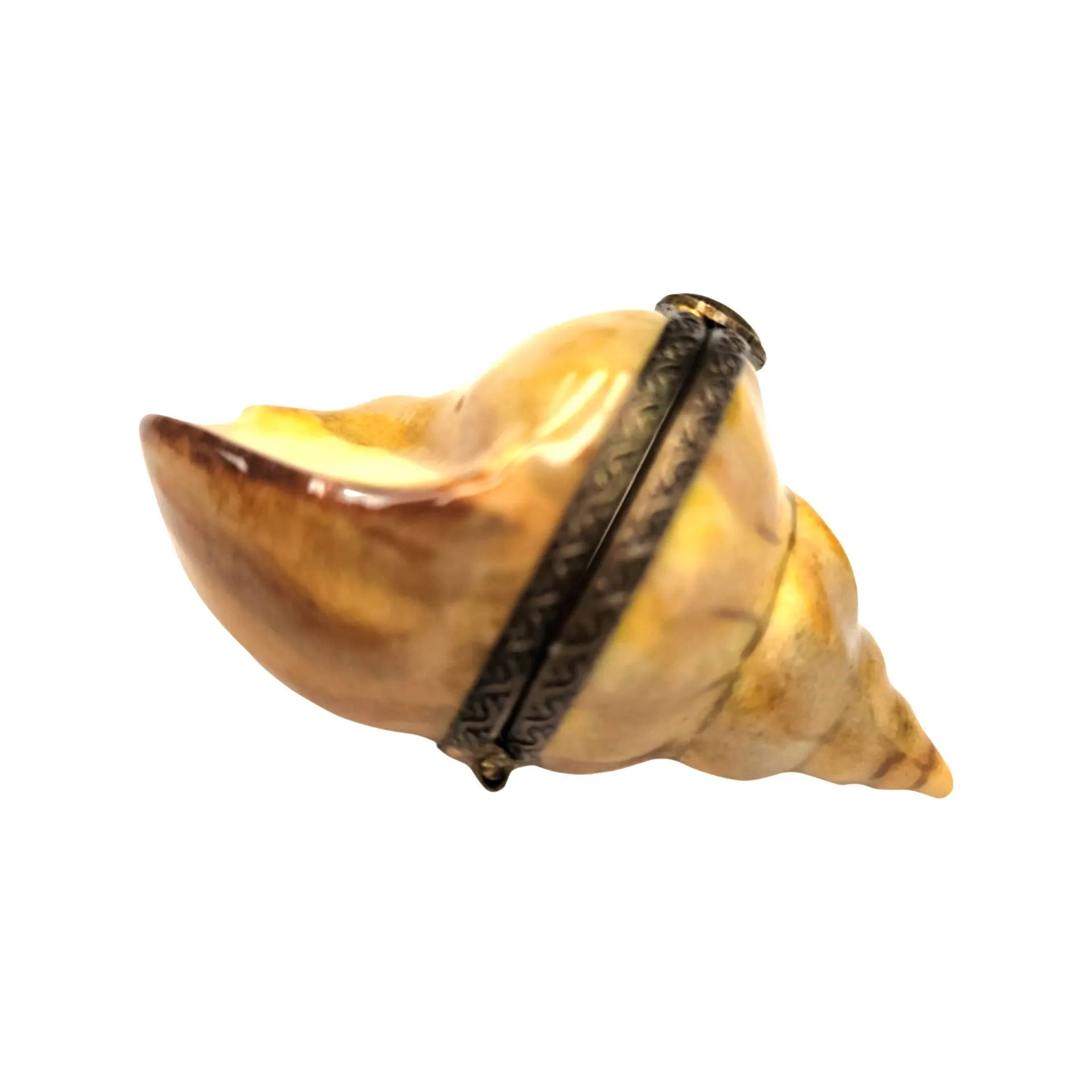 Bullot Shell