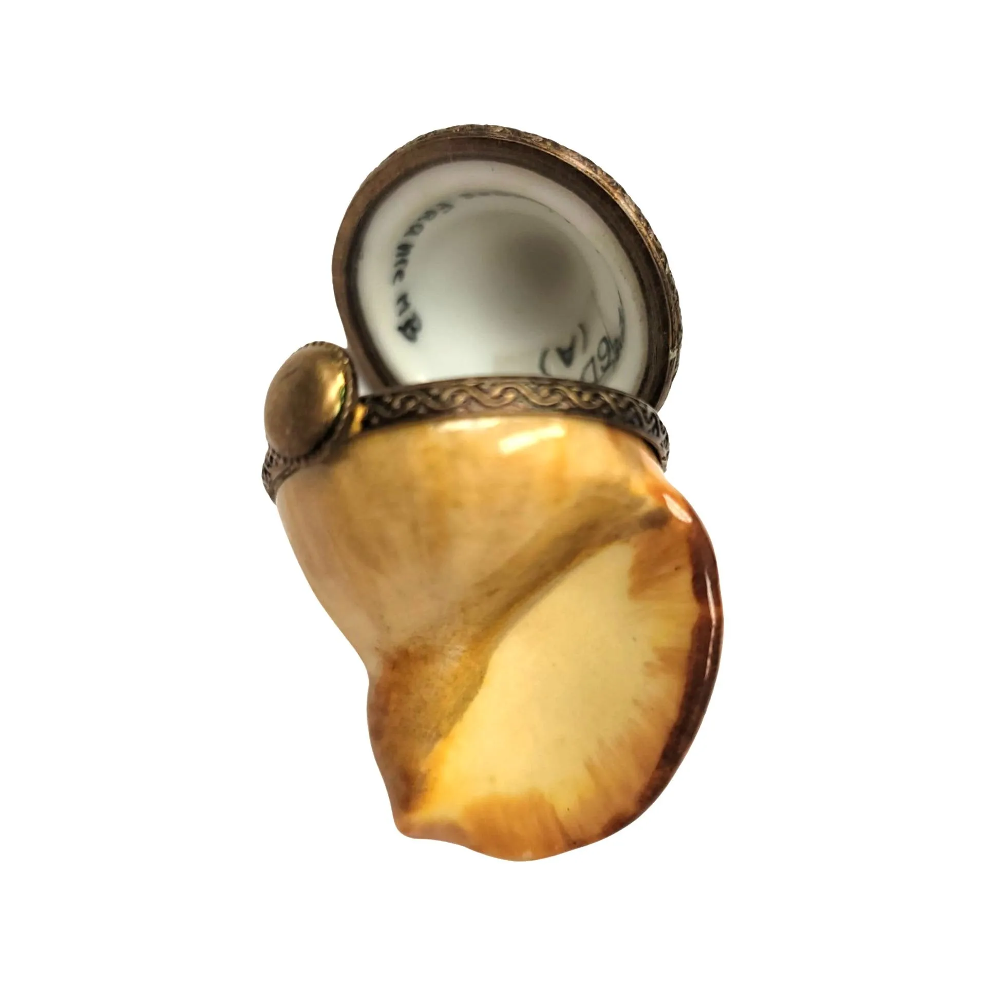 Bullot Shell