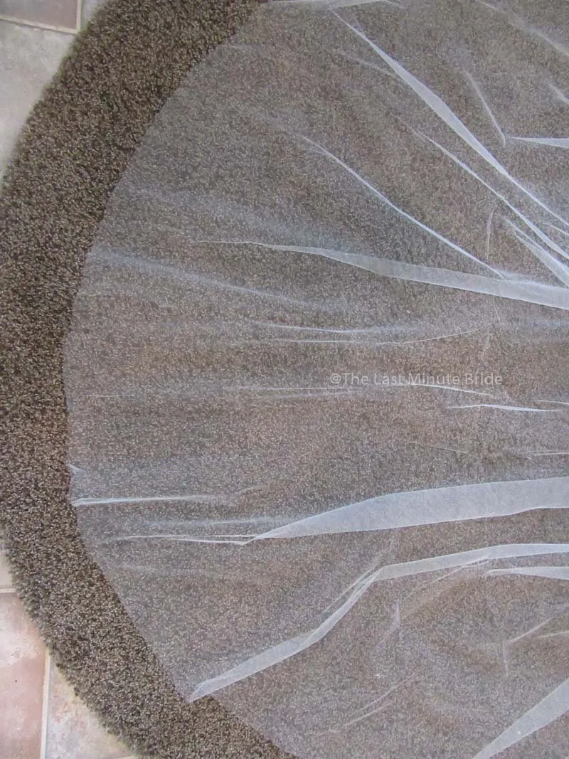 Cathedral Length Veil Style: One and Only