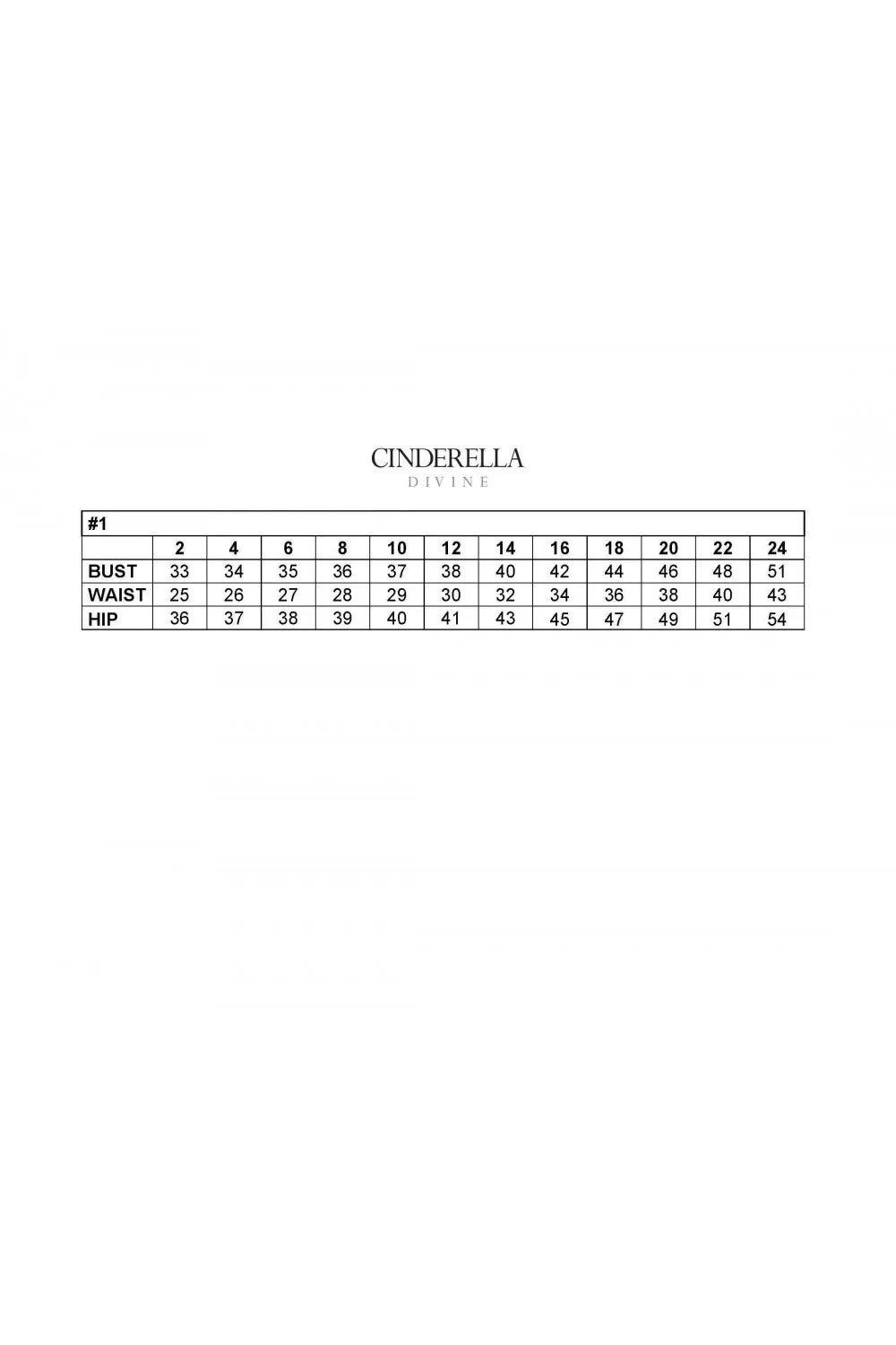 Cinderella Evening Dress CD984W