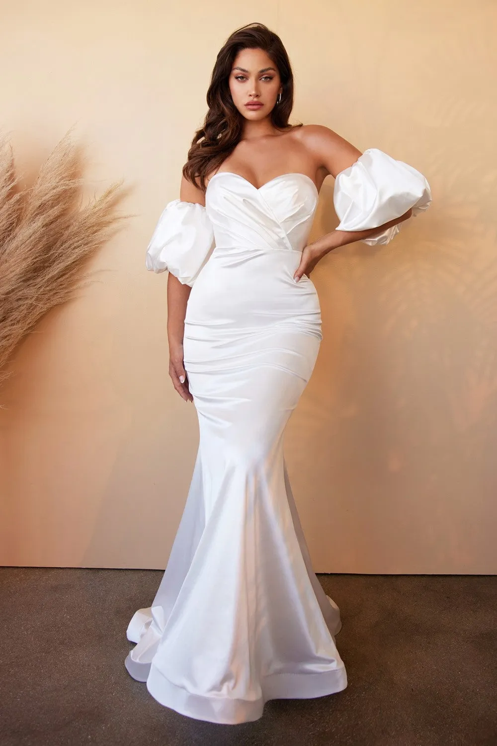 Cinderella Evening Dress CD984W