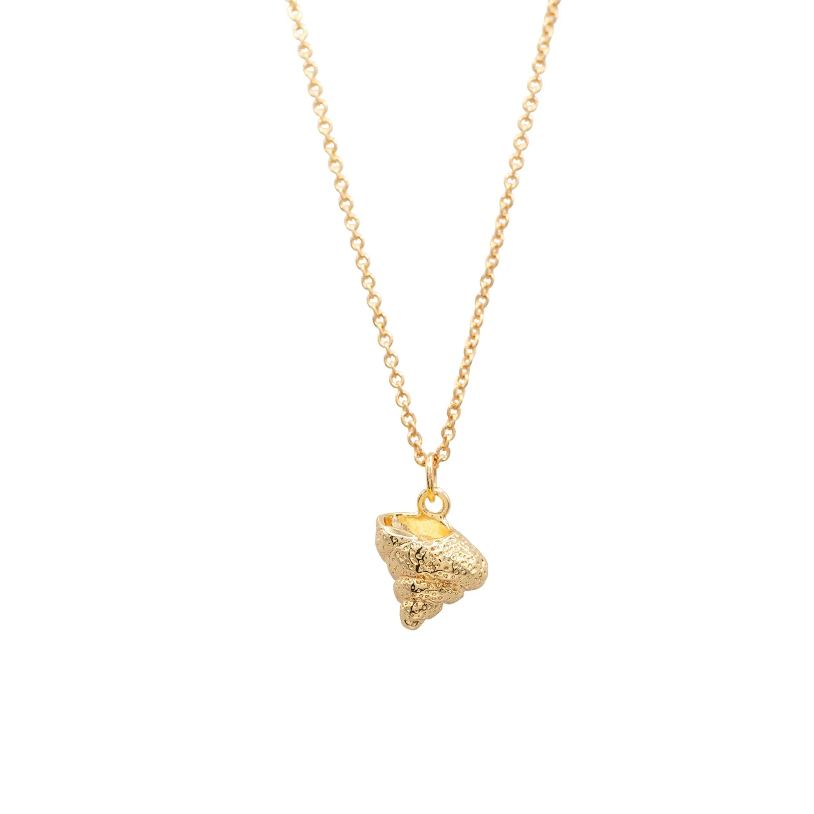 Conch Shell Mini Charm Pendant Necklace Gift Giving Beach