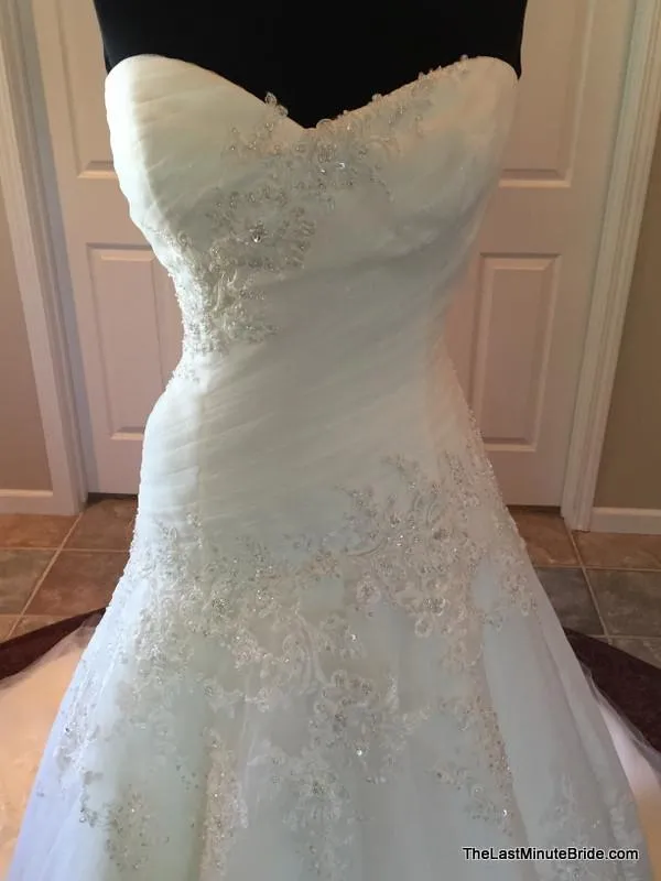 David Tutera 112222 Eldora