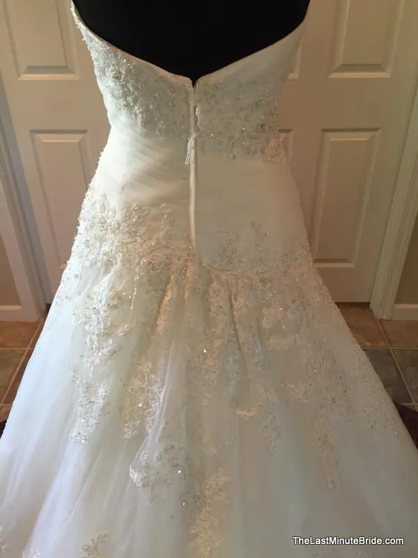 David Tutera 112222 Eldora