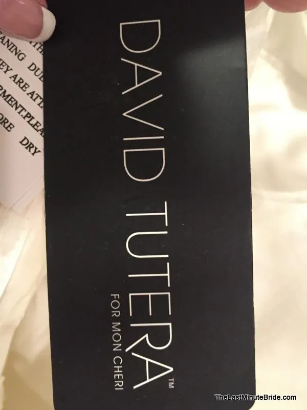 David Tutera 112222 Eldora