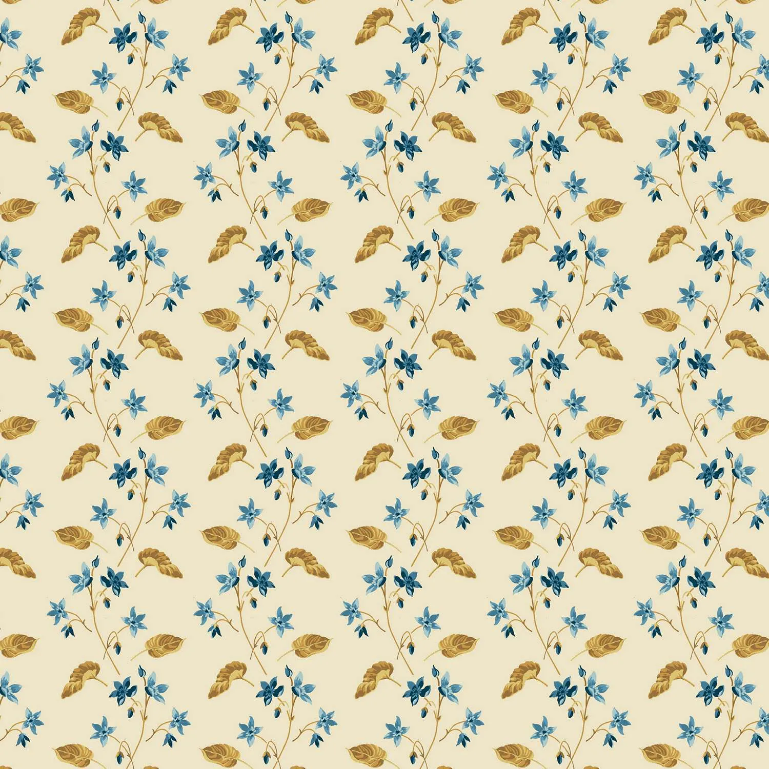 Edyta Sitar | Beach House | Clematis | Shell