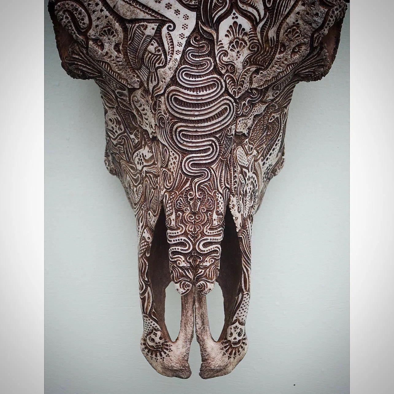 Jason Borders | Rez Protector