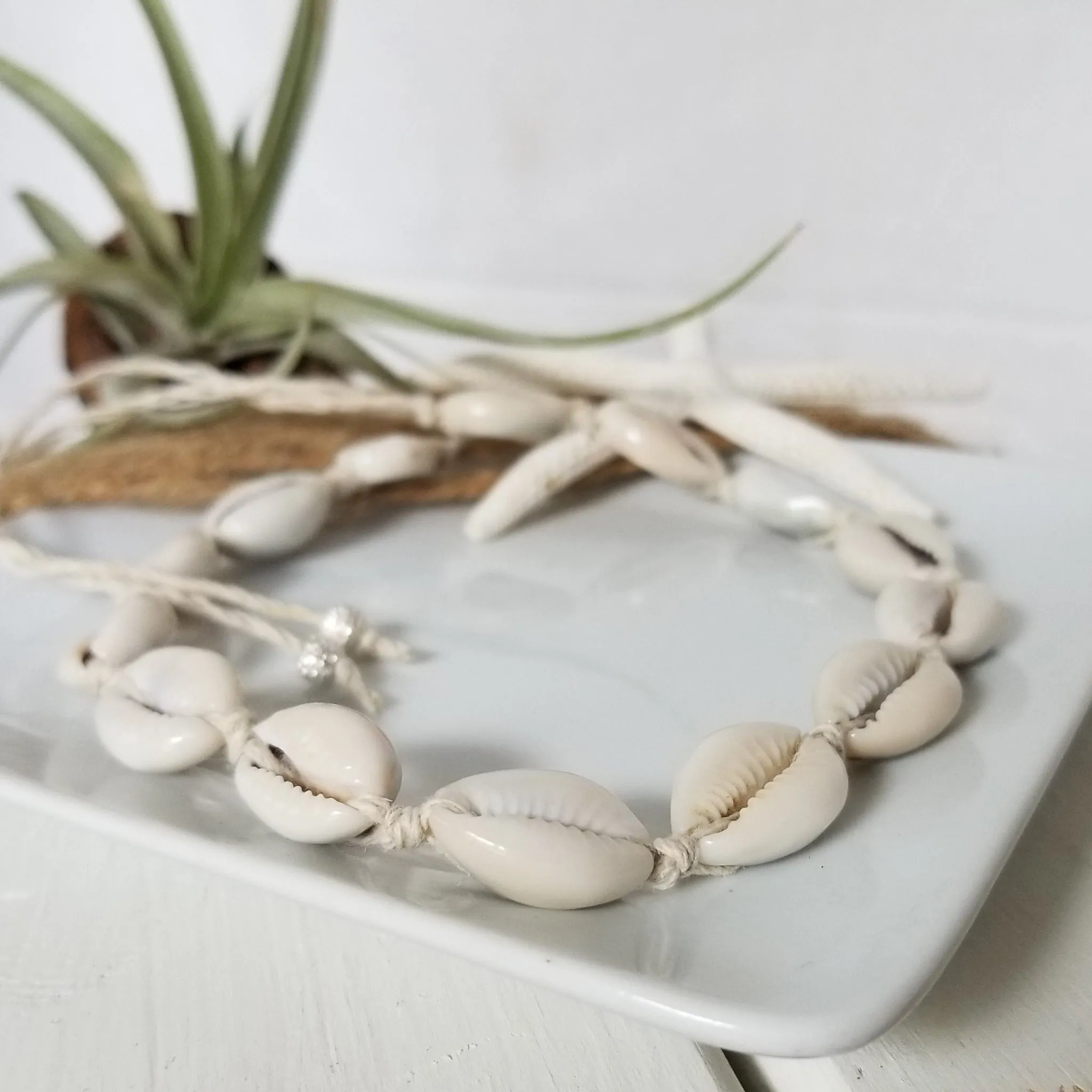 Puka Shell Jewelry - Necklace - Bracelet or Anklet