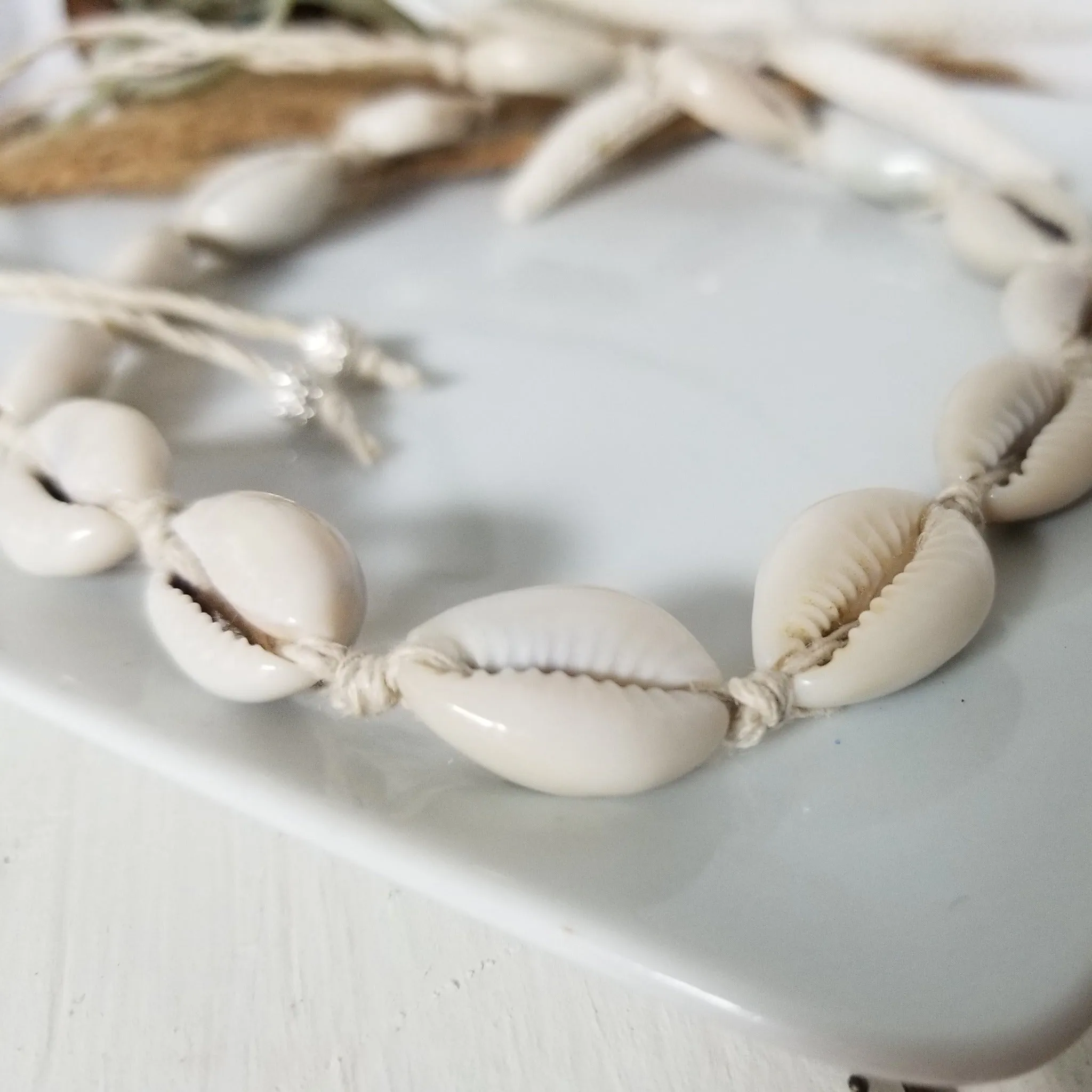 Puka Shell Jewelry - Necklace - Bracelet or Anklet
