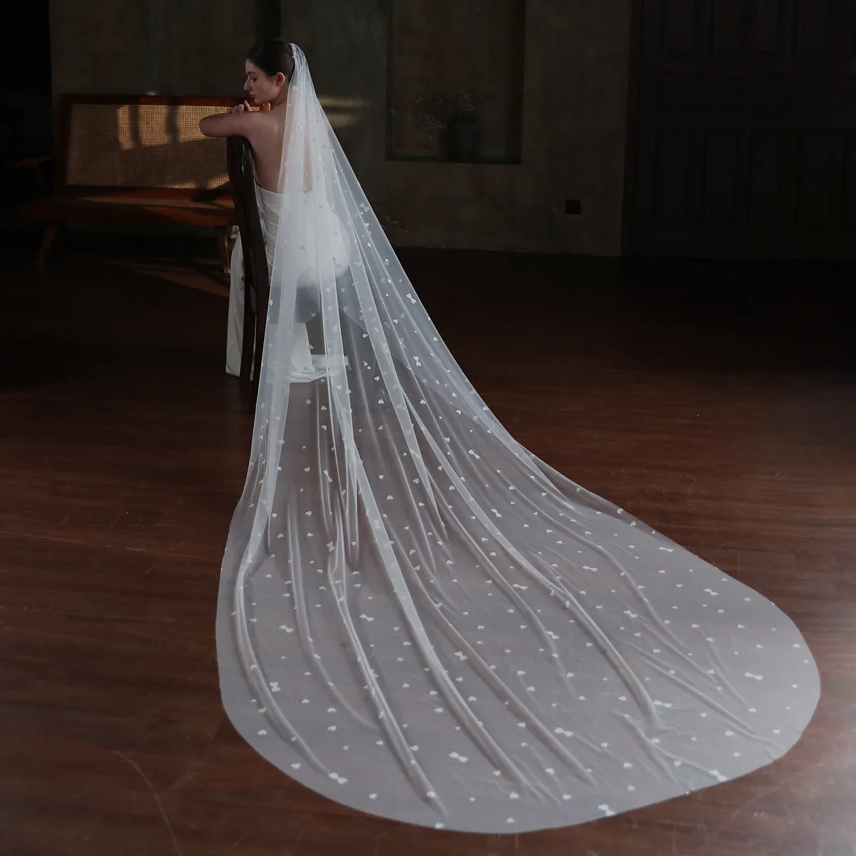 Roycebridal Heart Printed Tulle Bridal Veil Cathedral Length Viniodress V873