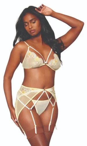 Sexy Gartered Lace Dream Lingerie Set
