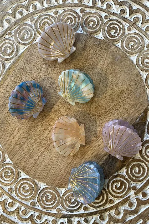 Shell Hair Claw