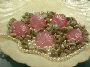Shells