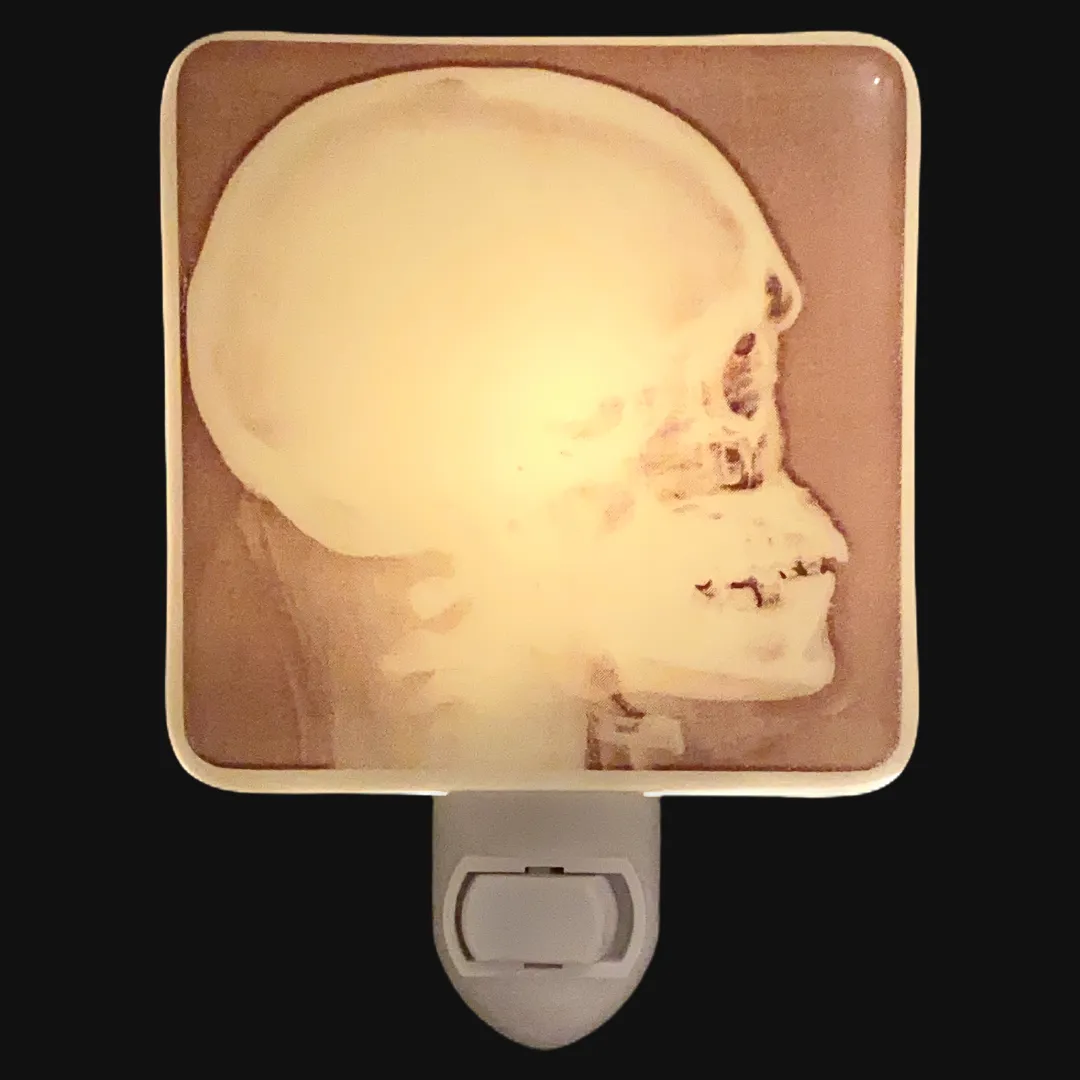 Skeleton Skull Head X-Ray  Night Light