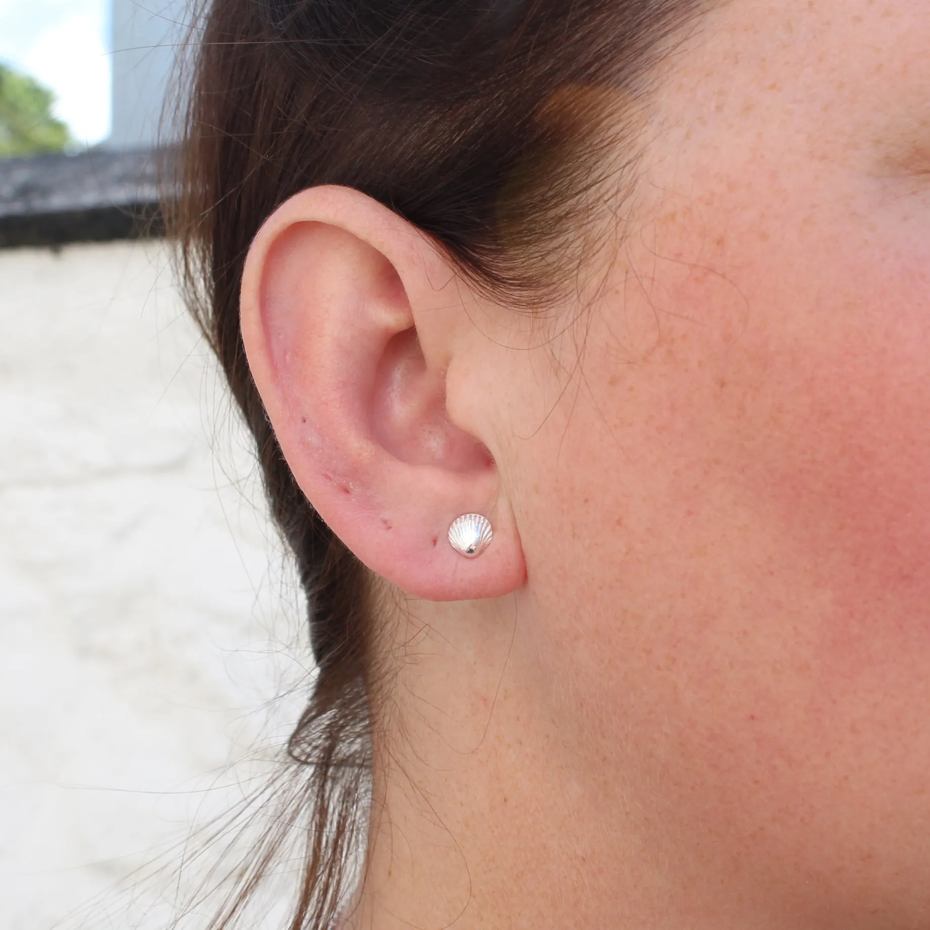 Sterling Silver Cornish Shell Studs