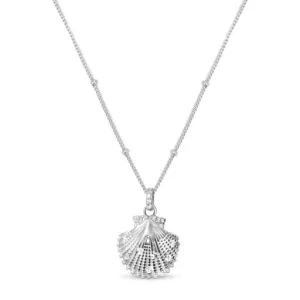 Sultry Shell Necklace