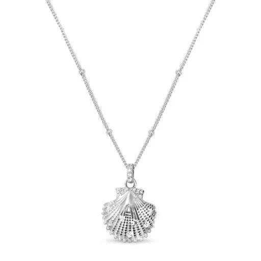 Sultry Shell Necklace