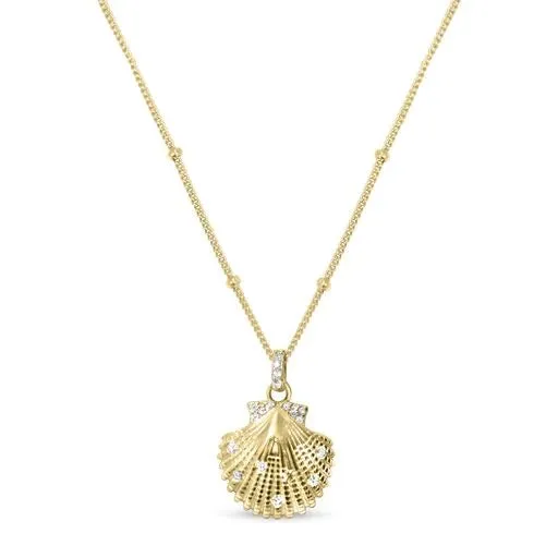 Sultry Shell Necklace
