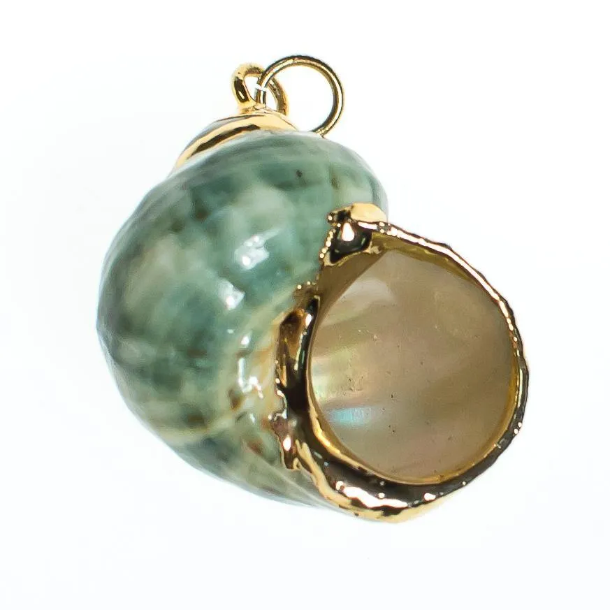 Vintage Green Seashell Pendant with 18kt Gold Accents