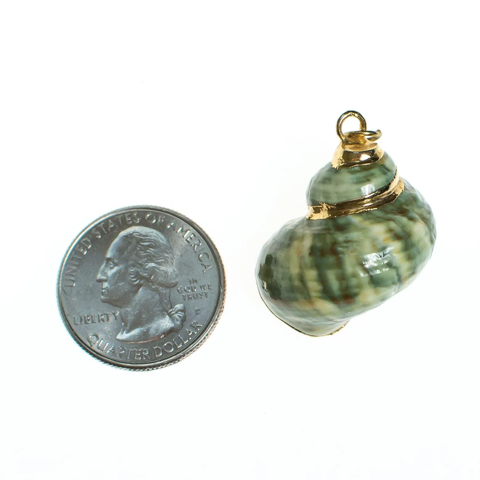 Vintage Green Seashell Pendant with 18kt Gold Accents